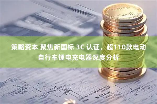 策略资本 聚焦新国标 3C 认证，超110款电动自行车锂电充电器深度分析